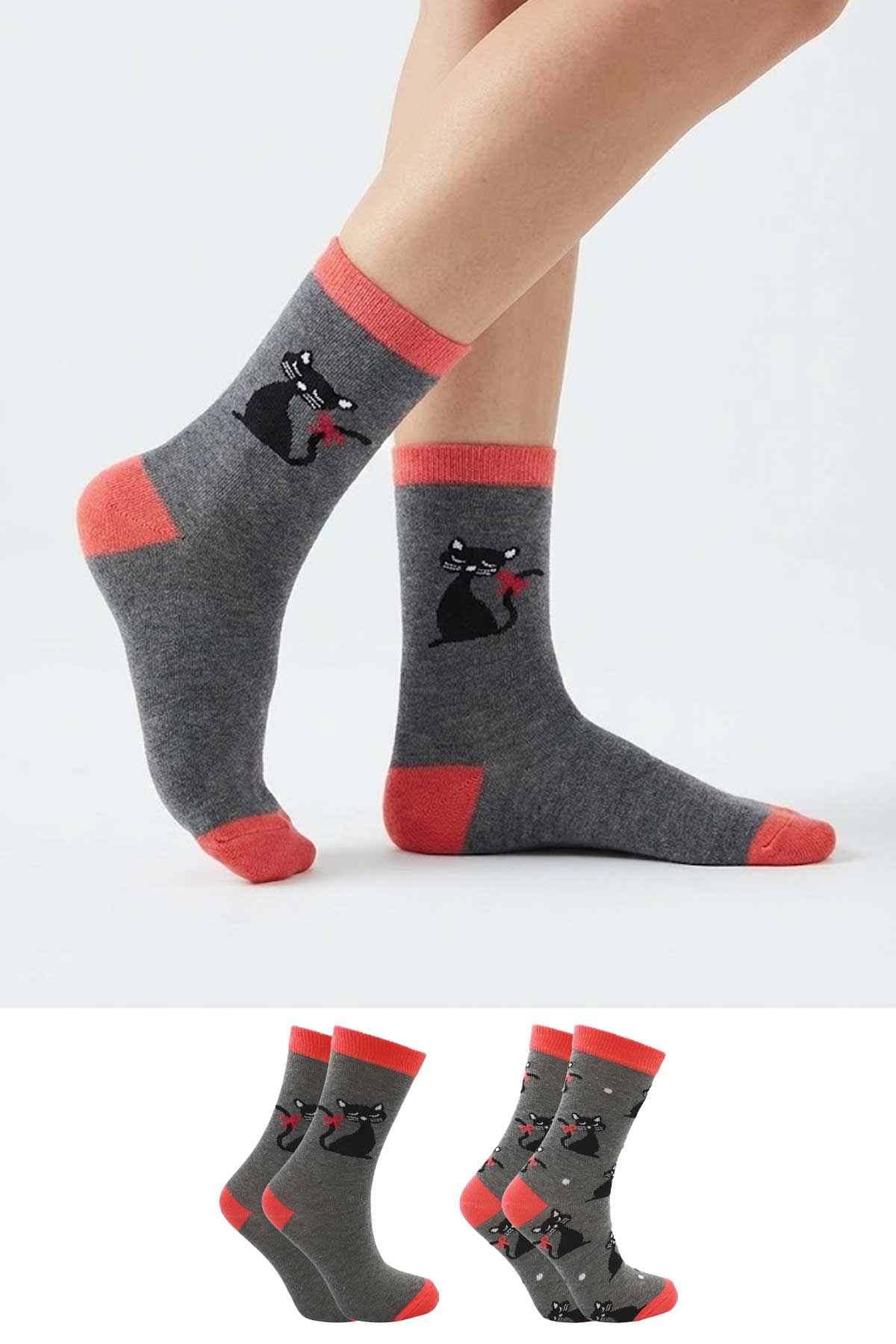 kedi-soket-2